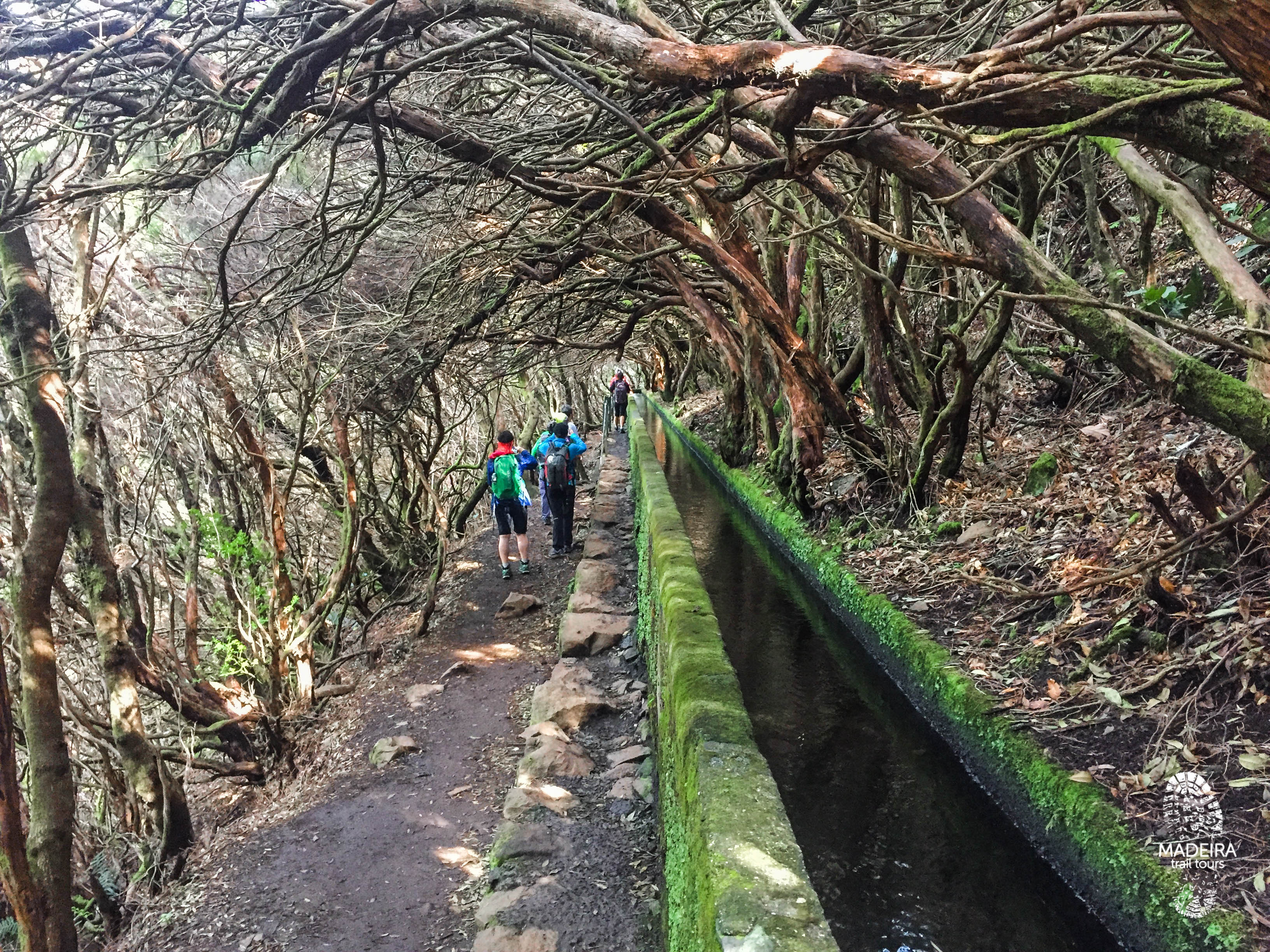 25 Fountains and Risco Walking Tour