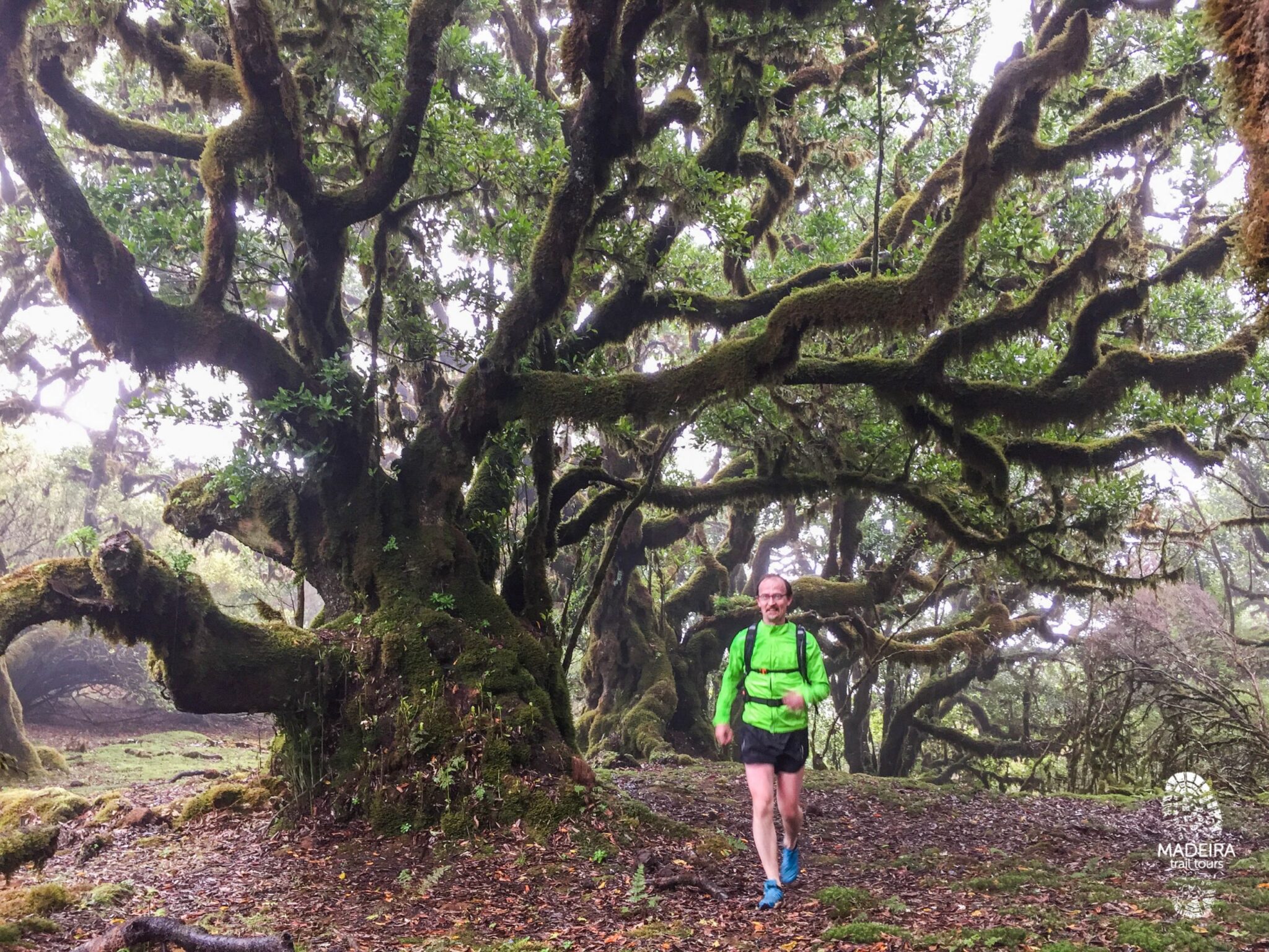 Fanal Ancient Forest Running Tour