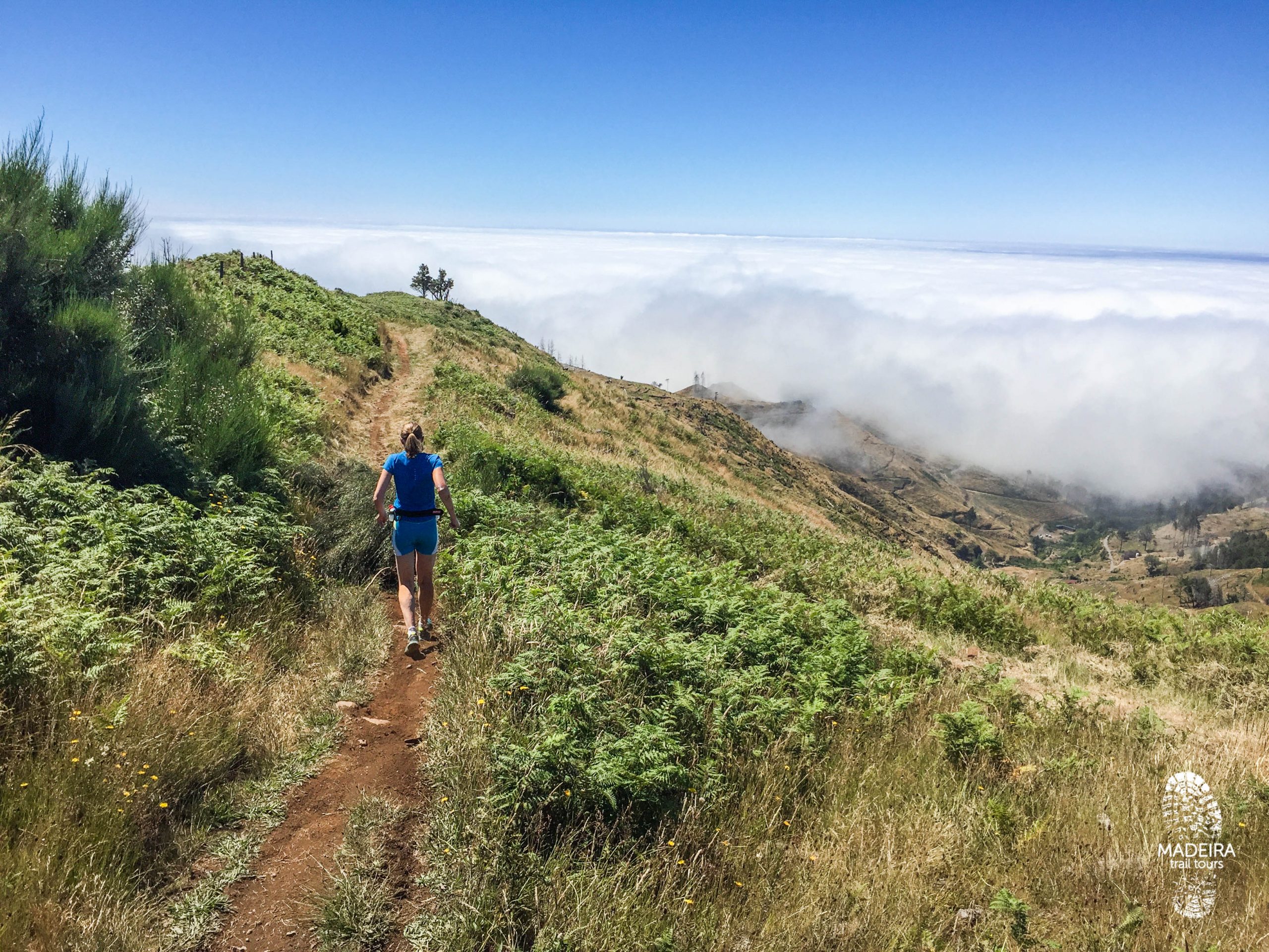 Zonas Altas do Funchal