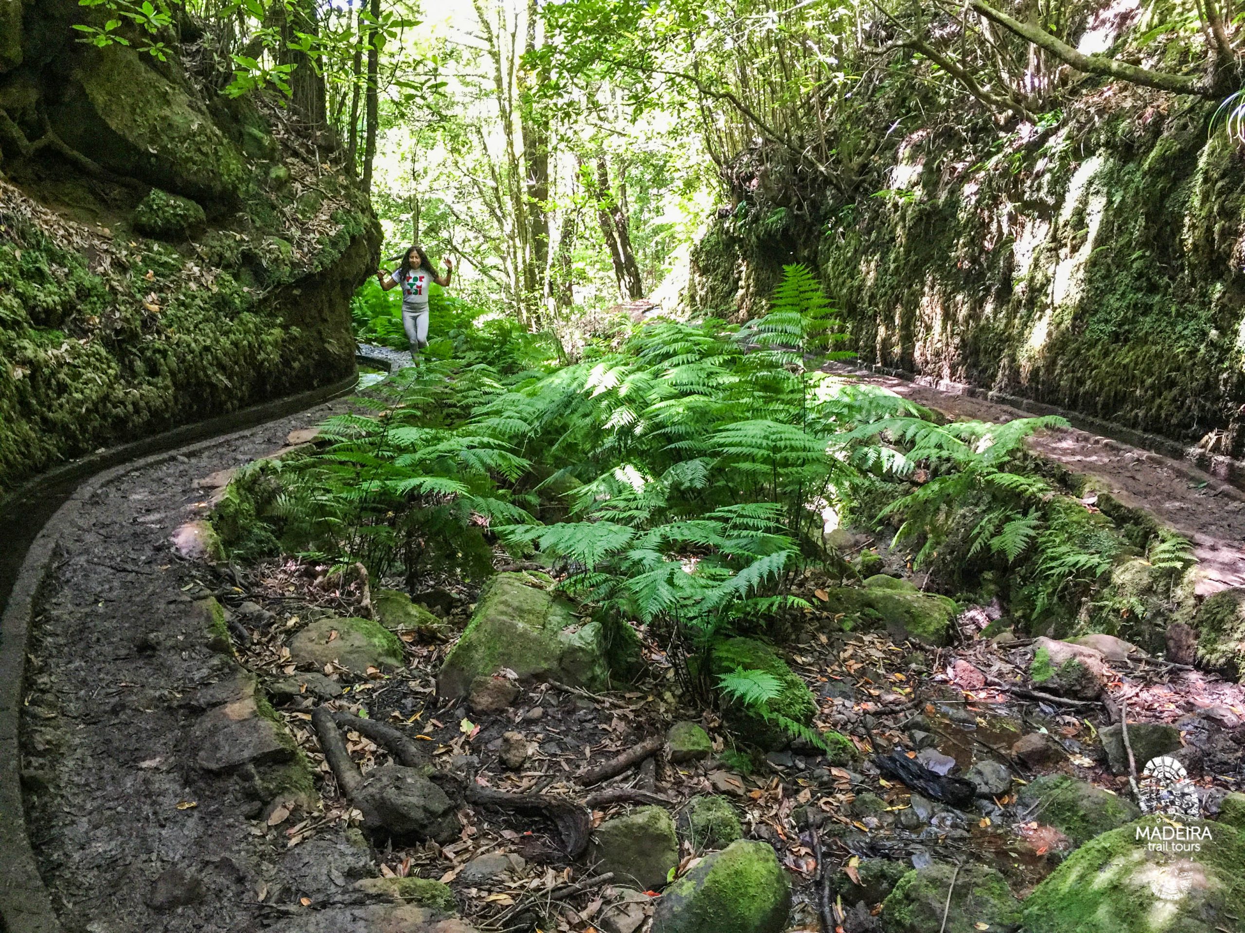 Fanal e Levada dos Cedros