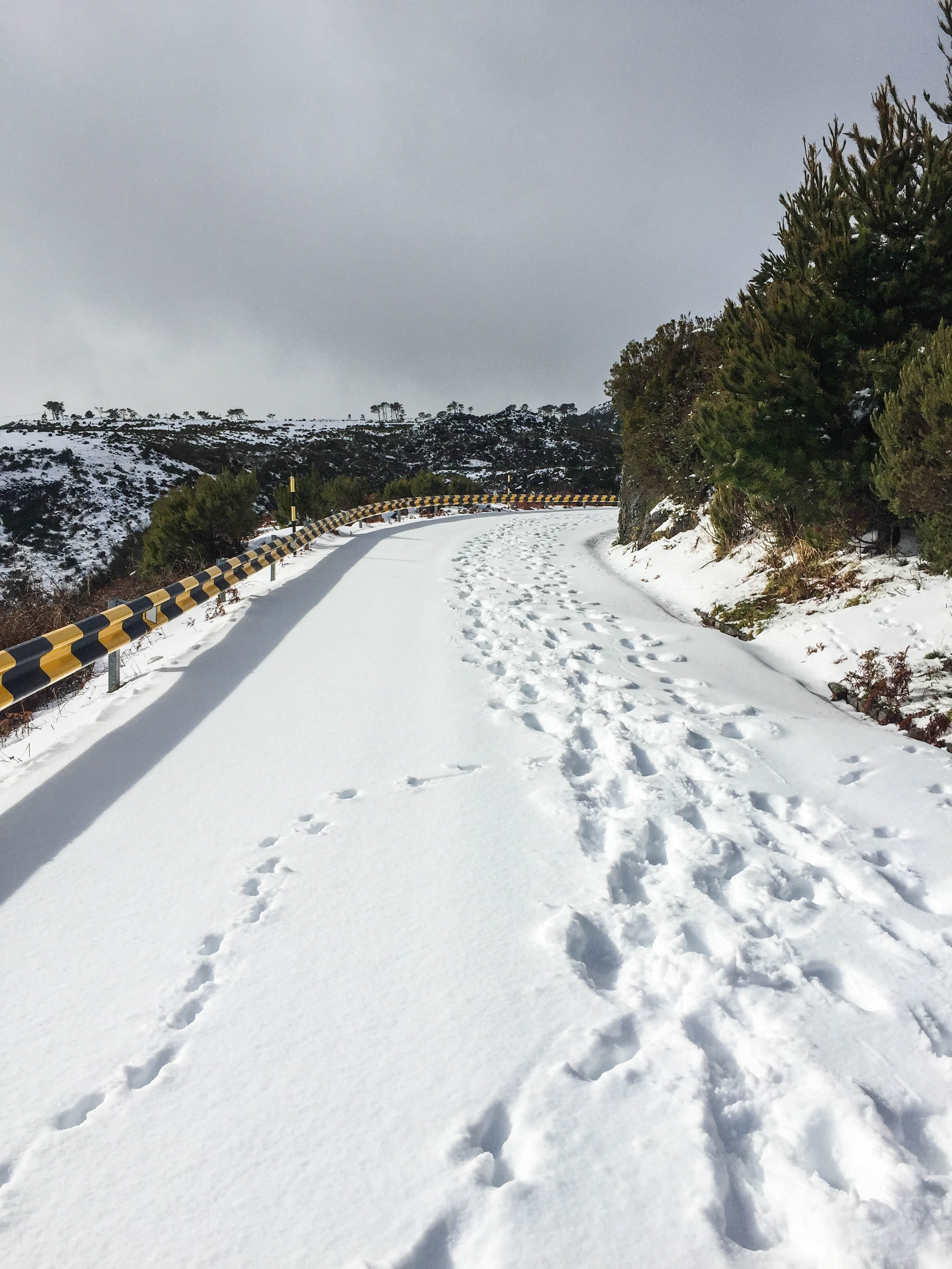 Snow in Madeira