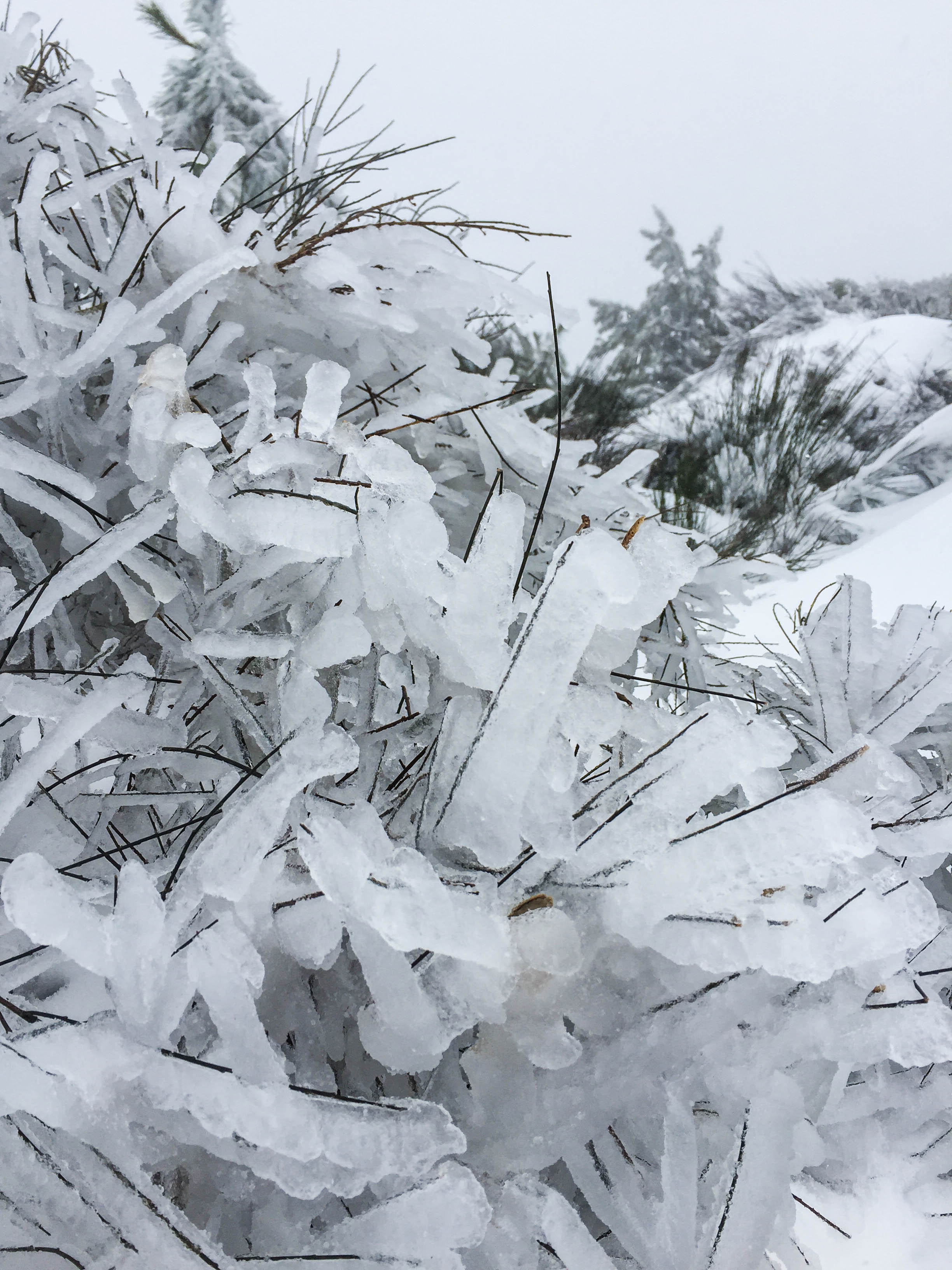 Snow in Madeira