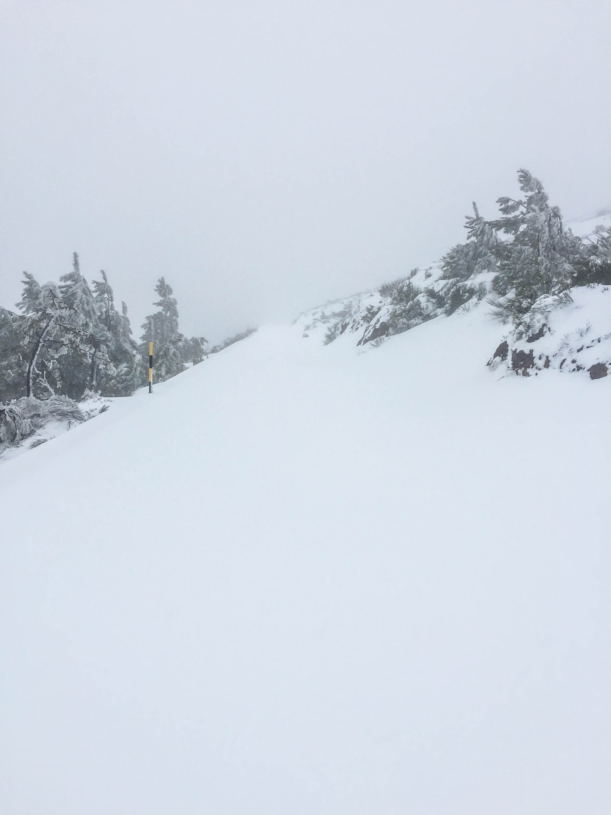 Snow in Madeira